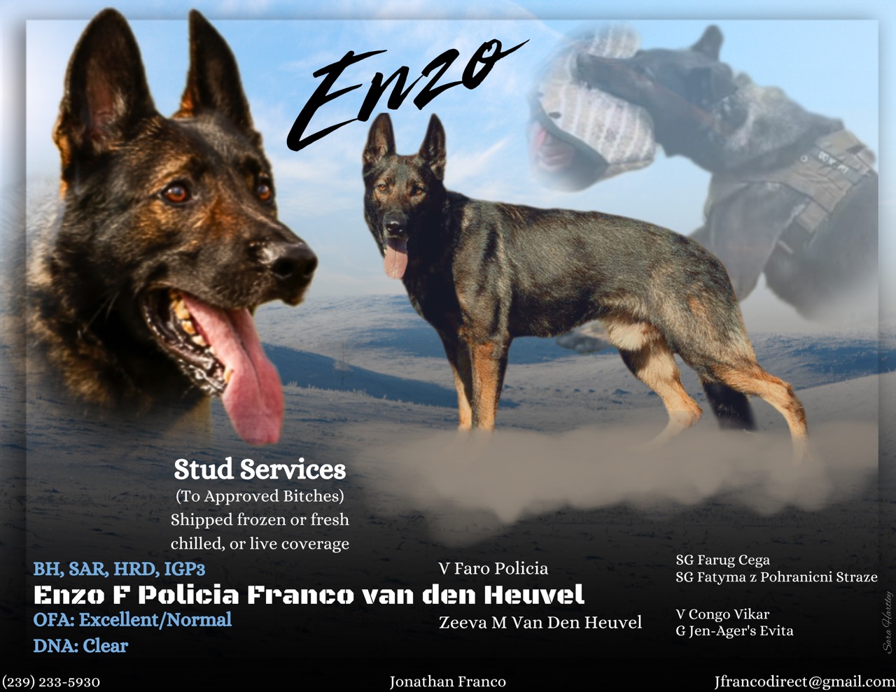 Enzo